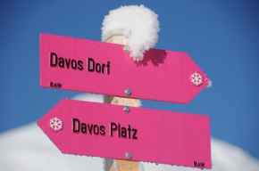 Grifla Davos Platz
